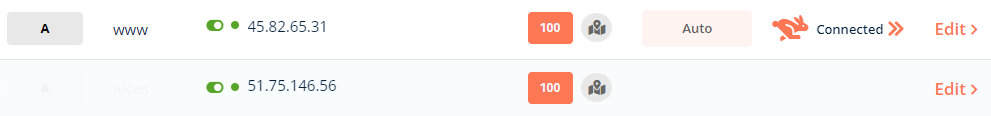 bunny-dns-record-set-example.png