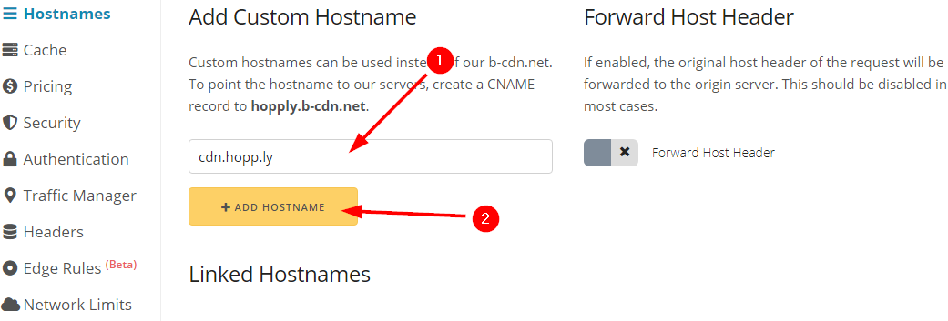 cloudflare_step_1_add_hostname.png